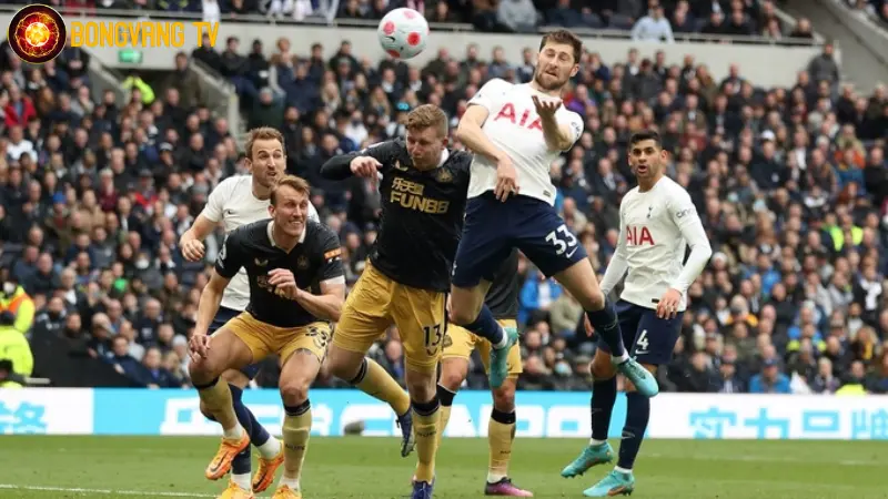 Kết quả trận đấu giữa Newcastle và Tottenham tỷ số 6-1
